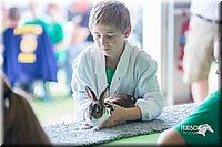 LCFair2016-0374.jpg