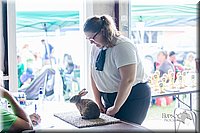 LCFair2016-0386.jpg