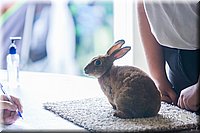 LCFair2016-0388.jpg