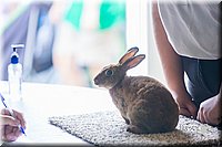 LCFair2016-0389.jpg