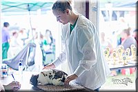 LCFair2016-0393.jpg