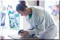 LCFair2016-0394.jpg