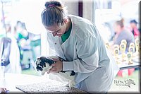 LCFair2016-0395.jpg