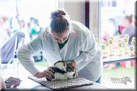 LCFair2016-0396.jpg