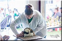 LCFair2016-0397.jpg