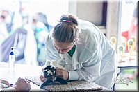 LCFair2016-0398.jpg