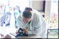 LCFair2016-0400.jpg