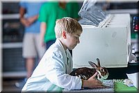 LCFair2016-0404.jpg