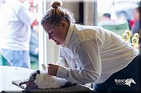 LCFair2016-0408.jpg