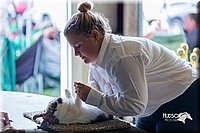 LCFair2016-0409.jpg