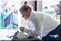 LCFair2016-0410.jpg