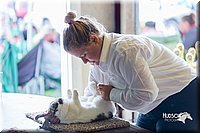 LCFair2016-0411.jpg