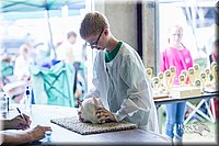 LCFair2016-0412.jpg