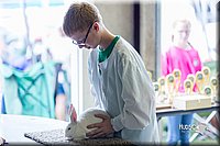 LCFair2016-0416.jpg