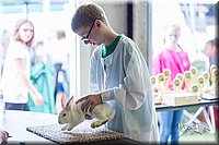 LCFair2016-0417.jpg