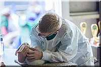LCFair2016-0418.jpg