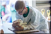 LCFair2016-0419.jpg