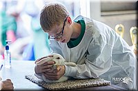 LCFair2016-0420.jpg