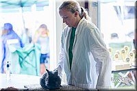LCFair2016-0421.jpg