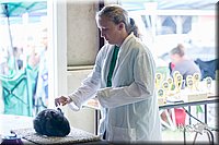 LCFair2016-0422.jpg