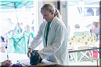 LCFair2016-0424.jpg