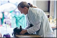 LCFair2016-0426.jpg