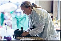 LCFair2016-0427.jpg