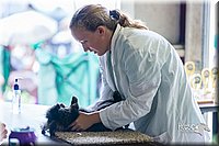 LCFair2016-0428.jpg