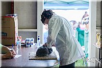 LCFair2016-0429.jpg