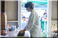 LCFair2016-0430.jpg