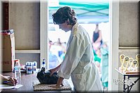 LCFair2016-0431.jpg