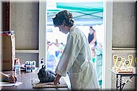 LCFair2016-0432.jpg