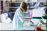 LCFair2016-0433.jpg