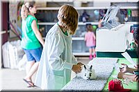 LCFair2016-0434.jpg