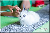 LCFair2016-0441.jpg