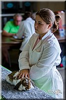 LCFair2016-0447.jpg
