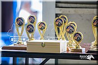 LCFair2016-0478.jpg