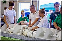 LCFair2016-0512.jpg