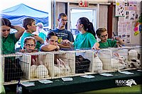 LCFair2016-0529.jpg