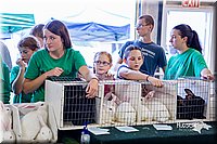 LCFair2016-0531.jpg