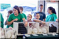 LCFair2016-0532.jpg