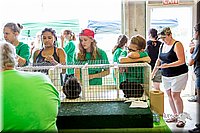 LCFair2016-0580.jpg