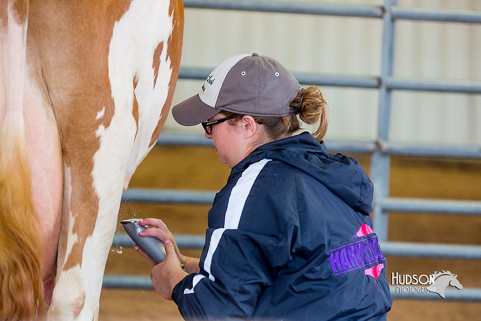 LCFair2016-0857.jpg