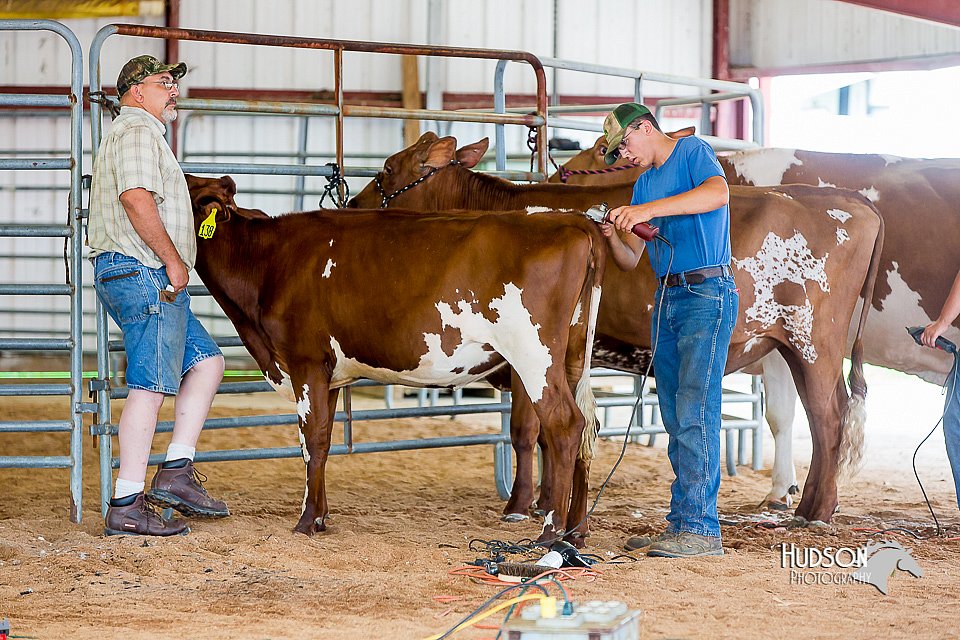 LCFair2016-0867.jpg