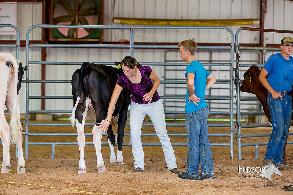 LCFair2016-0879.jpg