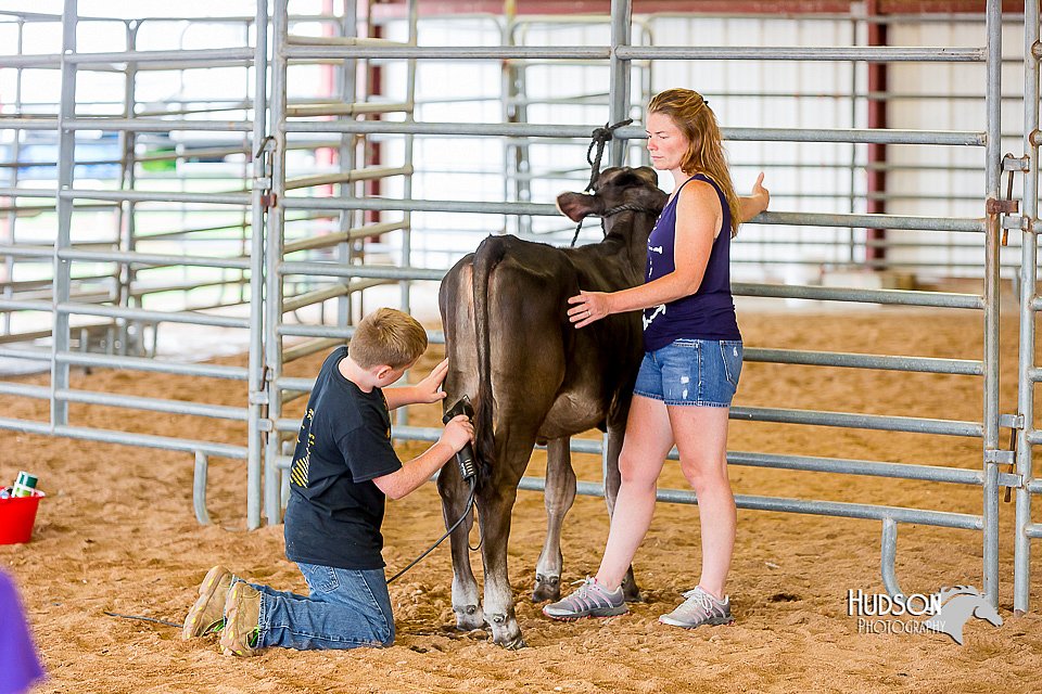 LCFair2016-0883.jpg