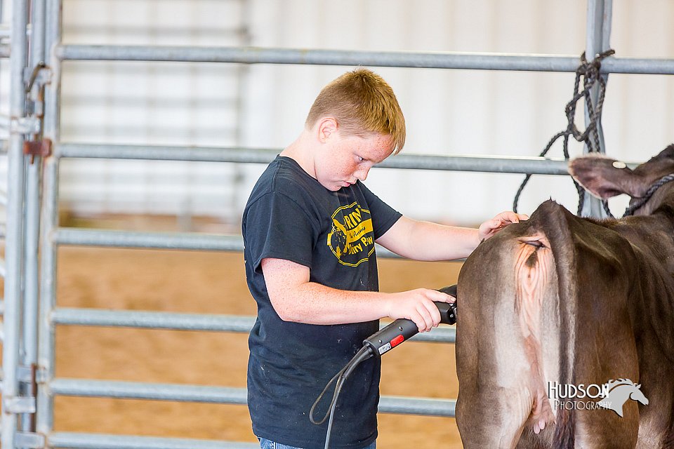 LCFair2016-0899.jpg