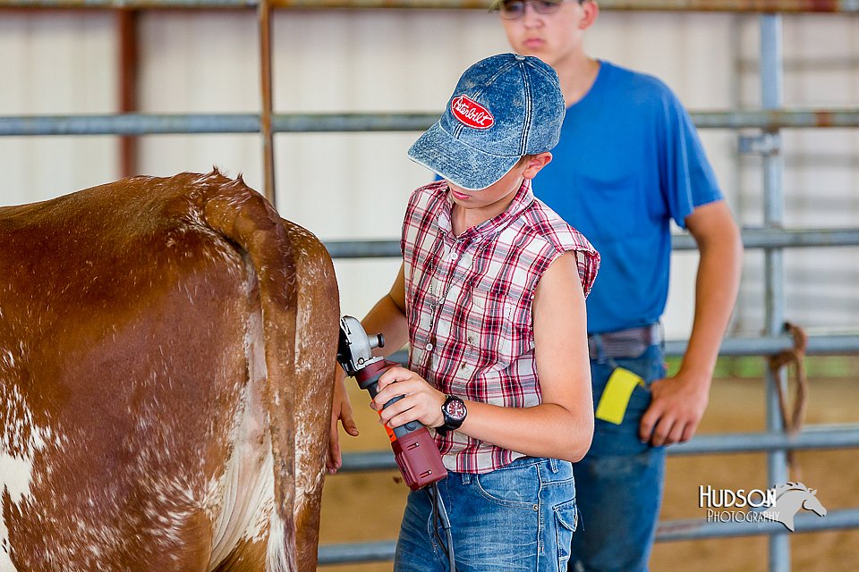 LCFair2016-0903.jpg
