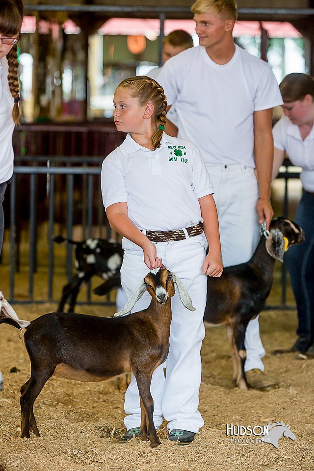 LCFair2016-0933.jpg