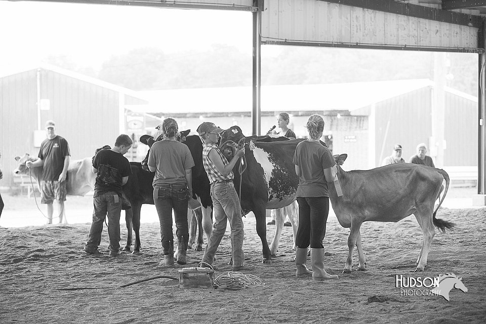 LCFair2016-0944.jpg
